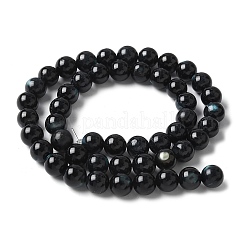 Abalorios naturales de concha de labio negro hebras&nbsp;SSHEL-C013-01C