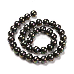 Shell-Perle Perle Stränge&nbsp;BSHE-L025-05-8mm