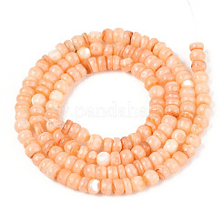 Hebras de cuentas teñidas de concha natural de agua dulce&nbsp;SHEL-T020-29A-07