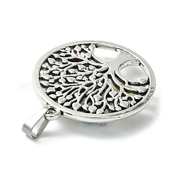 Argent antique pendentifs en alliage de tonalité&nbsp;PALLOY-JF02361-01
