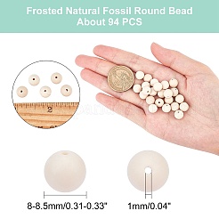 Smerigliato fossili naturali fili di perline rotonde&nbsp;G-AR0002-84