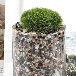 Perline di pietra preziosa naturale&nbsp;G-J402-01A