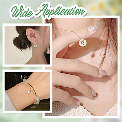DIY zwölf Konstellationen Legierung Strass Stecker Charms & Anhänger Schmuckherstellung Zubehörse Kits&nbsp;DIY-AR0004-13