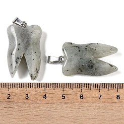Natur Labradorit Anhänger&nbsp;G-G115-01B