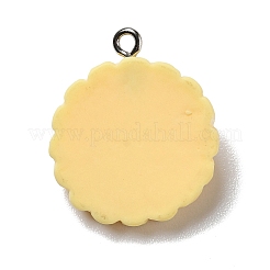 Colgantes de resina opaca&nbsp;LS-RESI-D055-066P