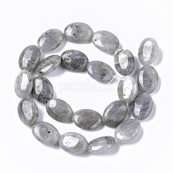 Perline labradorite naturale fili&nbsp;X-G-S359-001B