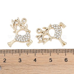 Legierung rhinestone-anhänger&nbsp;FIND-M018-17G