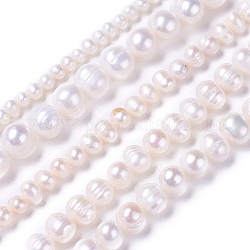 Fili di perle di perle d'acqua dolce coltivate naturali, patata, bianco, 4~12x4~12mm, Foro: 0.5~1 mm, circa 28~100pcs/filo, 13.8 pollice ~ 15.7 pollici (35~40 cm)