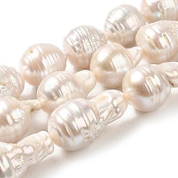 Natural Nucleated Pearl Beads Strands, Grade 4A-11, Peanut, Old Lace, 14~29x13~15.5mm, Hole: 0.7mm, about 20pcs/strand, 16.18''(41.1cm)