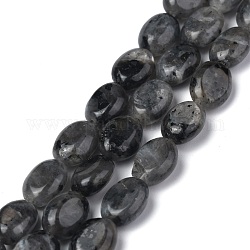 Natürliche schwarze Larvikit-Perlenstränge, Oval, 8x6x3.5~4 mm, Bohrung: 1 mm, ca. 45~52 Stk. / Strang, 15.16~15.74 Zoll (38.5~40 cm)