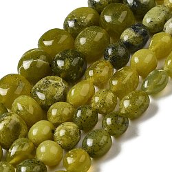 Naturales chinos de abalorios de jade hebras, pepitas, piedra caída, 10~19x9~14x9~13mm, agujero: 1 mm