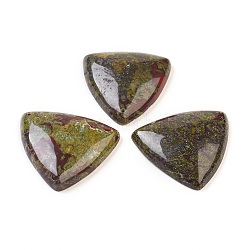 Drago naturale ciondoli in pietra di sangue, triangolo, 42x40x8~9mm, Foro: 1 mm