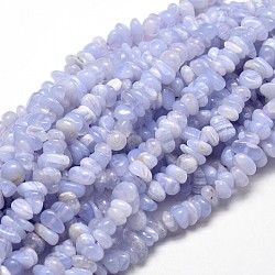 Dentelle bleue naturelle perles de puce agate brins, 5~14x4~10mm, Trou: 1mm, environ 15.5 pouce ~ 16.1 pouces