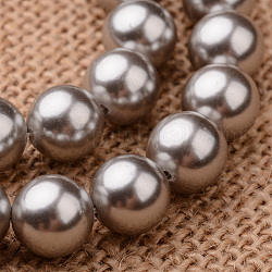 Grado redonda pulida una concha perla hebras, gris, 8mm, agujero: 1 mm, aproximamente 49 pcs / cadena, 16 pulgada