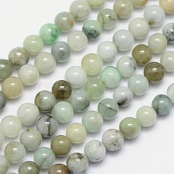 Jadéite naturel brins de perles rondes, 6mm, Trou: 1mm, Environ 67 pcs/chapelet, 15.5 pouce