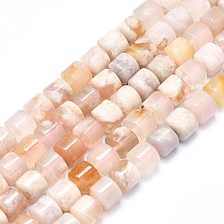 Chapelets de perles en agate naturelle de fleurs de cerisier, colonne, 8x8mm, Trou: 1mm, Environ 48 pcs/chapelet, 15.35 pouce (39 cm)