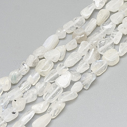 Bianco naturale perline pietra di luna fili, pietra burrattata, pepite, bianco, 4~15x4~8x3~7mm, Foro: 1 mm, circa 40~70pcs/filo, 15.7 pollice