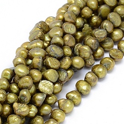 Hebras de perlas de agua dulce cultivadas naturales, teñido, pepitas, oliva, 8~9x7~8x5~6mm, agujero: 0.8 mm, aproximamente 49 pcs / cadena, 14.5 pulgada (37 cm)