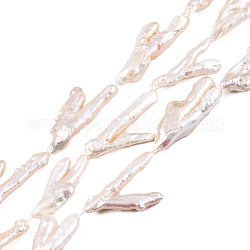 Fili di perle di keshi di perle barocche naturali, perla d'acqua dolce coltivata, artiglio, colore conchiglia, 26~47x10.5~17x5~9mm, Foro: 0.6 mm, circa 11pcs/filo, 15.55 pollice ~ 16.34 pollici (39.5~41.5 cm)
