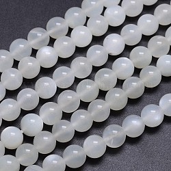 Натуральные белые круглые бусины из лунного камня, класс АА, 8 мм, отверстие : 1 мм, около 50 шт / нитка, 15.5 дюйм
