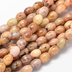 Ovales agate naturelle brins de perles, 10x8mm, Trou: 1mm, Environ 39 pcs/chapelet, 15.7 pouce