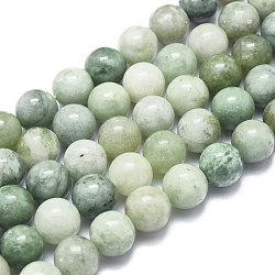 Natürliche myanmarische Jade / burmesische Jade-Perlenstränge, Runde, 10 mm, Bohrung: 1 mm, ca. 40 Stk. / Strang, 15.75 Zoll (40 cm)