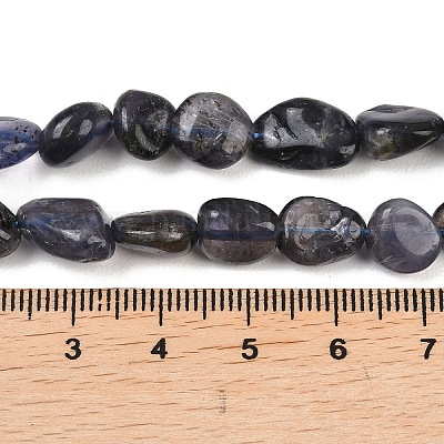 Naturperlen Stränge iolite&nbsp;G-C271-01-1