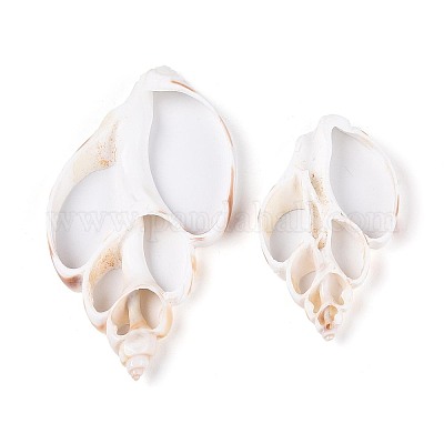 Shell naturale grandi ciondoli&nbsp;BSHE-T015-19-1