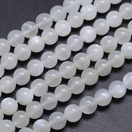 Brins de perles rondes en pierre de lune blanche naturelle G-M262-8mm-04-1