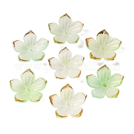 Transparentes bouchons acrylique de perles TACR-P011-03A-1