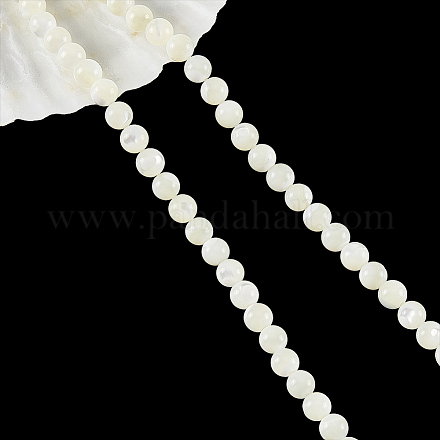 Fili di perle di conchiglia trochid naturale / trochus SHEL-WH0001-008-1