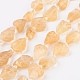 Chapelets de perles de citrine naturelle G-F568-048-1