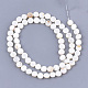 Freshwater Shell Beads Strands SHEL-S276-15A-2