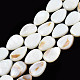 Natural White Shell Beads Strands X-PBB263Y-1-6
