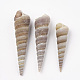 Perles de coquillages en spirale SSHEL-Q307-01-1