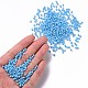Glass Seed Beads SEED-A012-3mm-123-4
