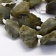 Natural Labradorite Beads Strands G-G697-E08-3