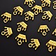 Zinc Alloy Charms PALLOY-YW0001-13G-RS-5
