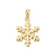 Pendentifs en laiton&nbsp;KK-E791-08G-1
