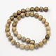 Natural Fossil Coral Round Bead Strands G-N0166-05-8mm-4