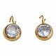 201 Stainless Steel Clear Cubic Zirconia Charms STAS-N087-47G-2