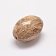 Perle di legno pietrificato naturale G-P076-34B-2