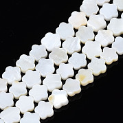 Нити бусин из натуральных пресноводных ракушек SHEL-S278-078A-01