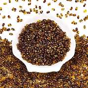 Стеклянные бусины Пикассо SEED-T006-04-4