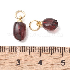 Anhänger aus natürlichem Bernstein&nbsp;PALLOY-JF05375-01