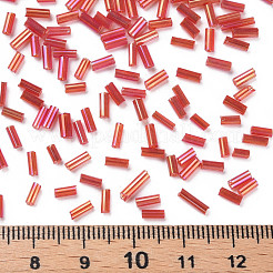 Rohr ab-Farbe überzogene Glashornperlen&nbsp;SEED-R011-165B