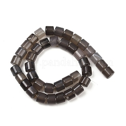 Natürlichen graue Achat Perlen Stränge&nbsp;G-G275-D23-10x10mm