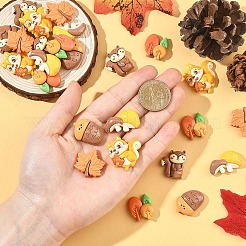 30 Stück 6 Stile Herbstthema undurchsichtige Harz-Cabochons&nbsp;CRES-YW0002-81