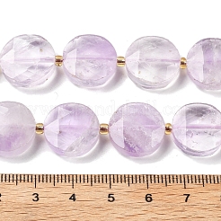 Naturperlen Stränge ametrine&nbsp;G-C116-A163-03