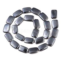 Galvanoplastie des brins de perles de coquille d'eau douce naturelle&nbsp;SHEL-R049-027E